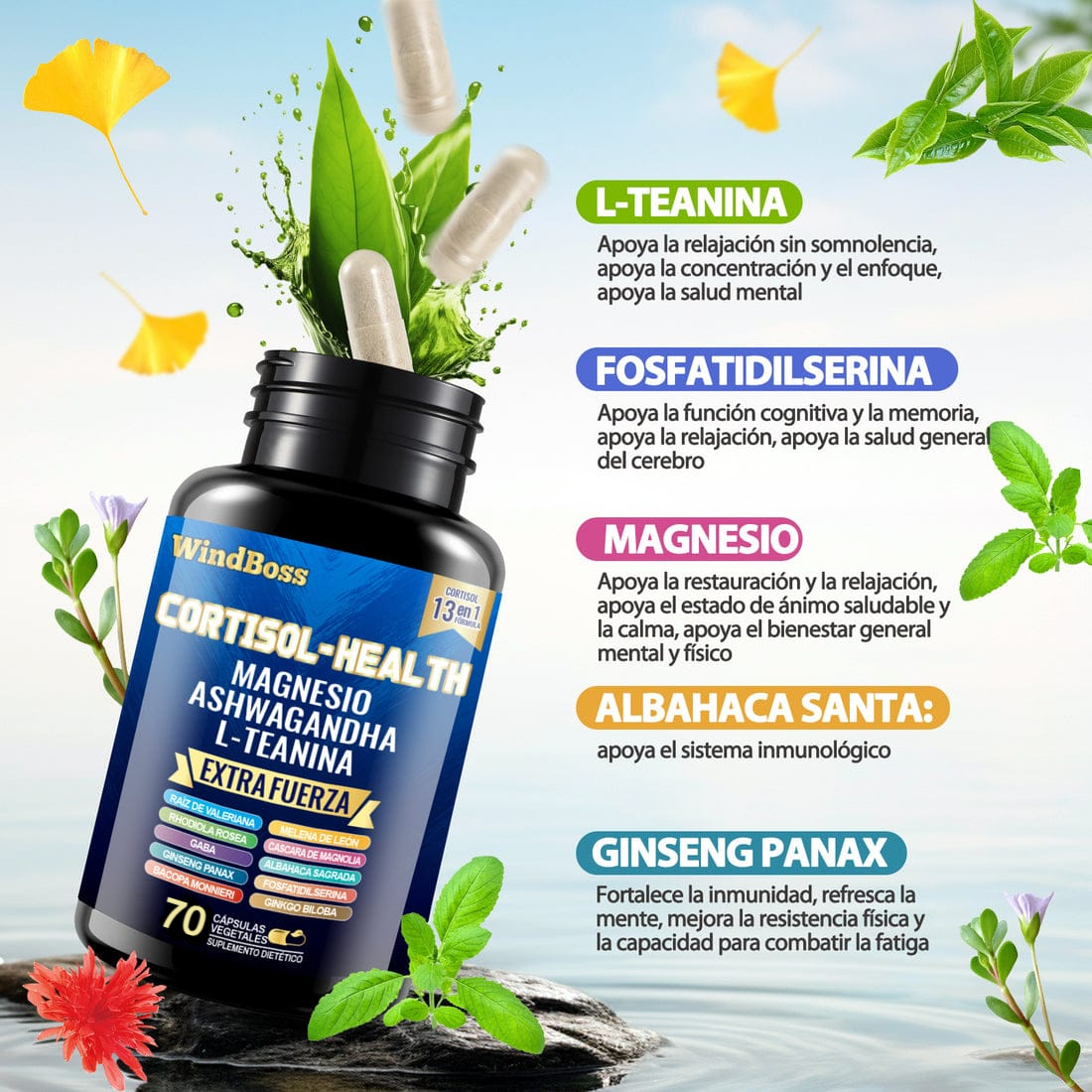 SUPLEMENTO MYO-INOSITOL WINDBOSS